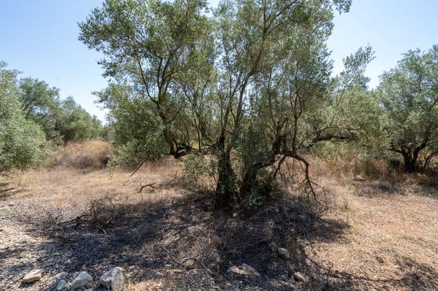 Finca/Herregård til salgs i Mas de Barberans - € 12 000 (Ref: 9156174)