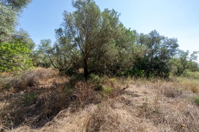 Finca/Herregård til salgs i Mas de Barberans - € 12 000 (Ref: 9156174)