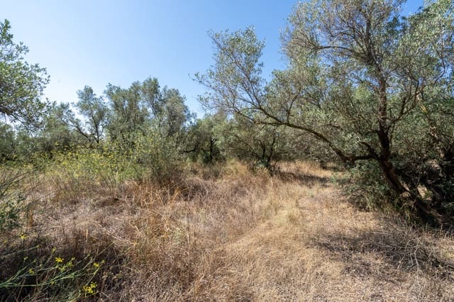 Finca/Herregård til salgs i Mas de Barberans - € 12 000 (Ref: 9156174)