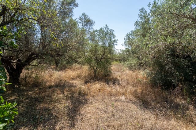 Finca/Herregård til salgs i Mas de Barberans - € 12 000 (Ref: 9156174)