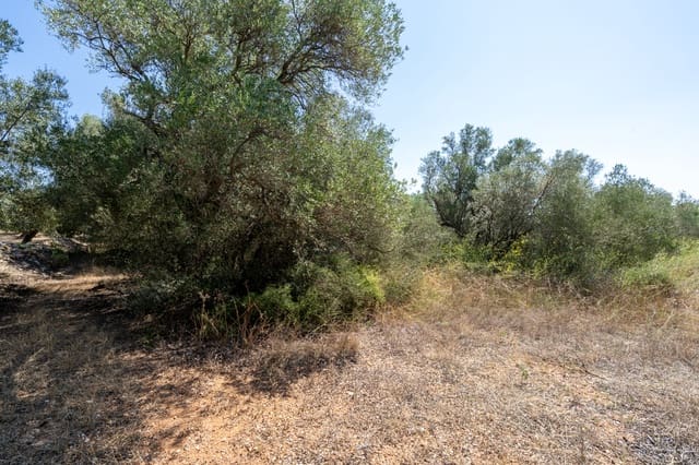 Finca/Herregård til salgs i Mas de Barberans - € 12 000 (Ref: 9156174)