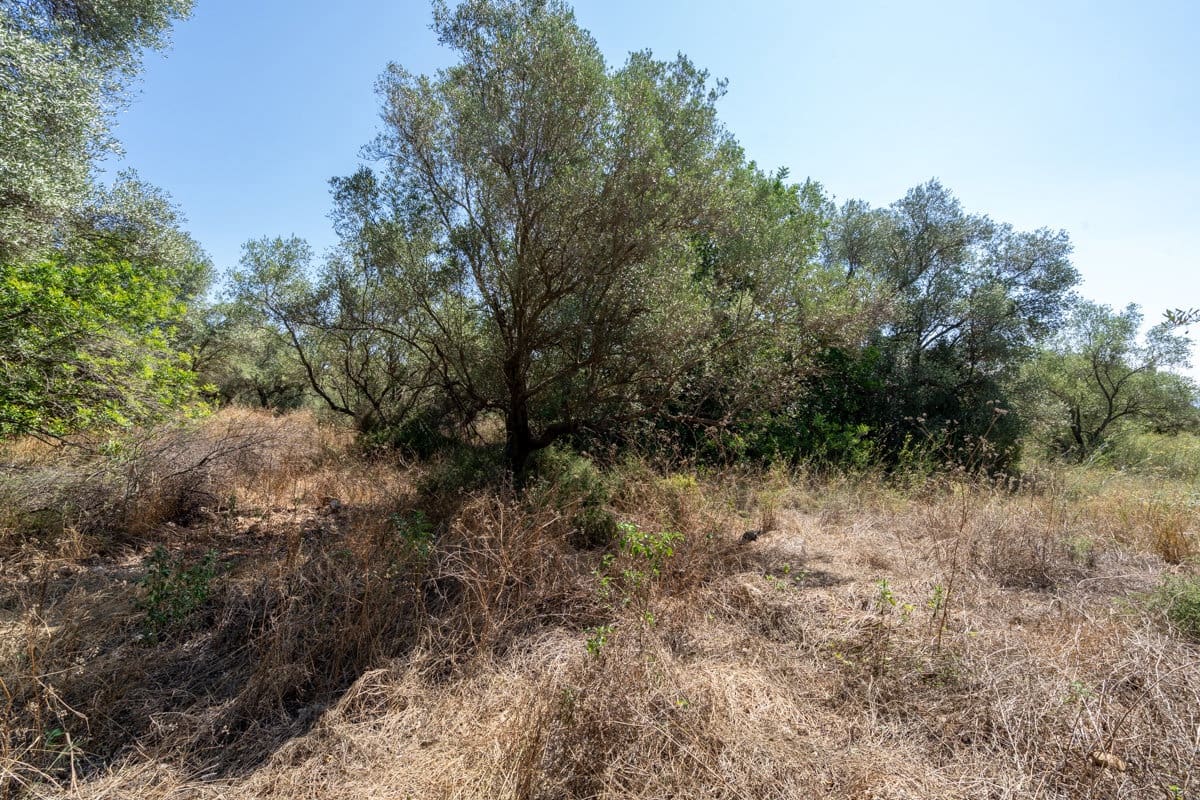 Finca/Herregård til salgs i Mas de Barberans - € 12 000 (Ref: 9156174)