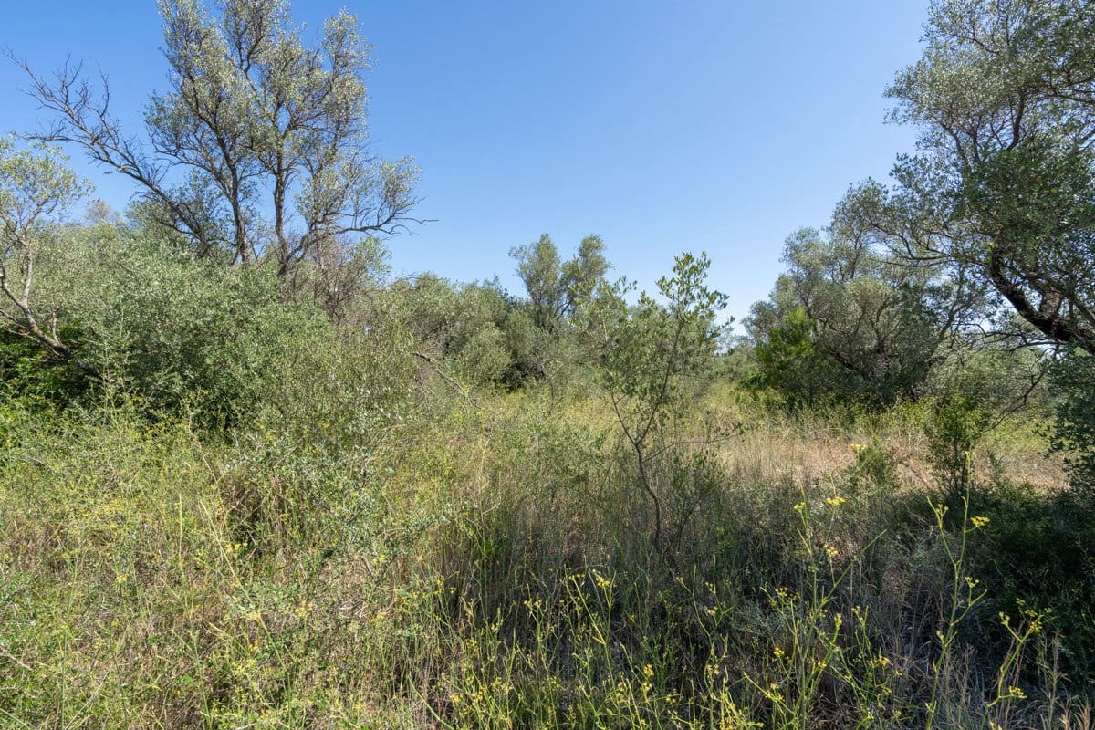 Finca/Herregård til salgs i Mas de Barberans - € 12 000 (Ref: 9156174)