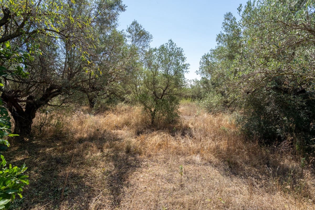 Finca/Herregård til salgs i Mas de Barberans - € 12 000 (Ref: 9156174)