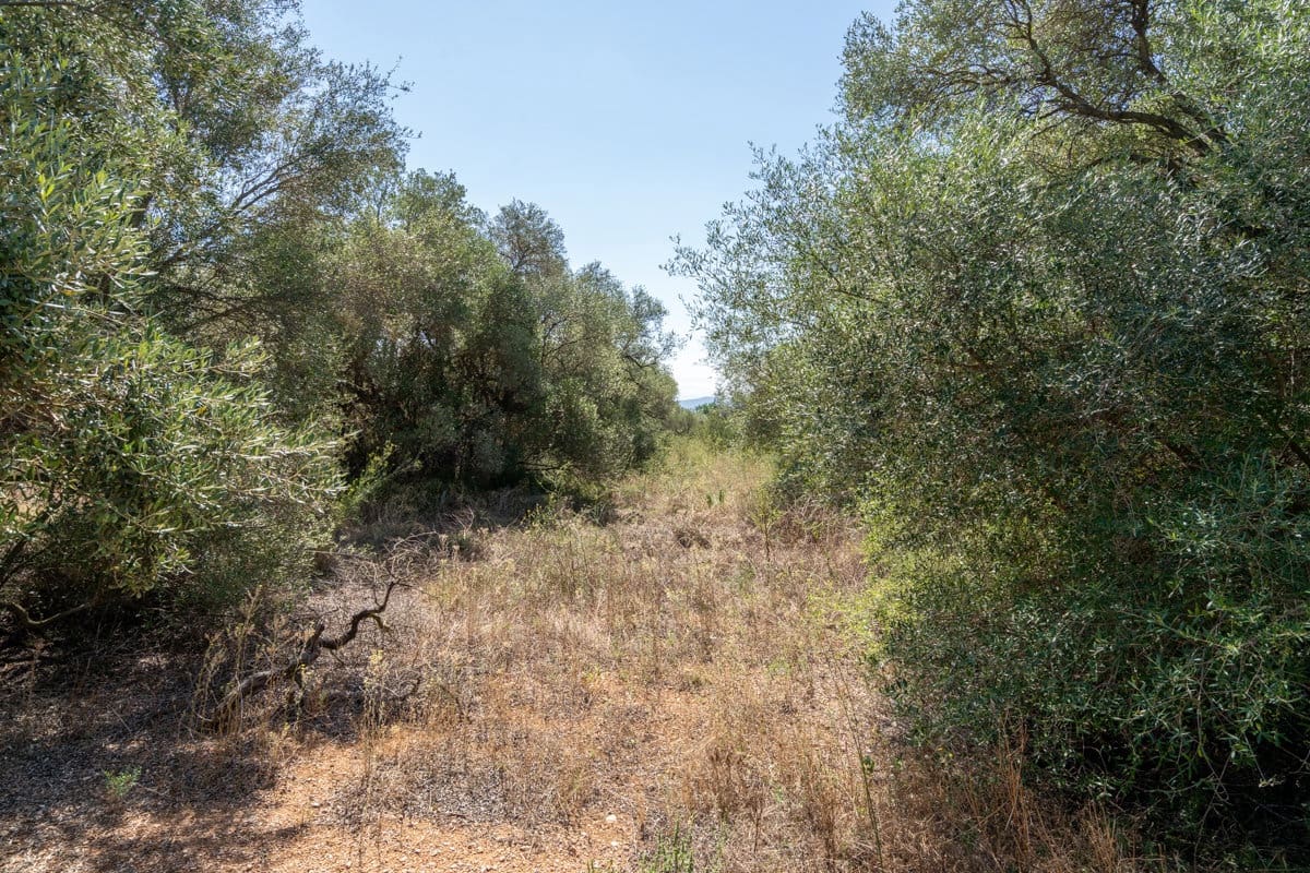 Finca/Herregård til salgs i Mas de Barberans - € 12 000 (Ref: 9156174)