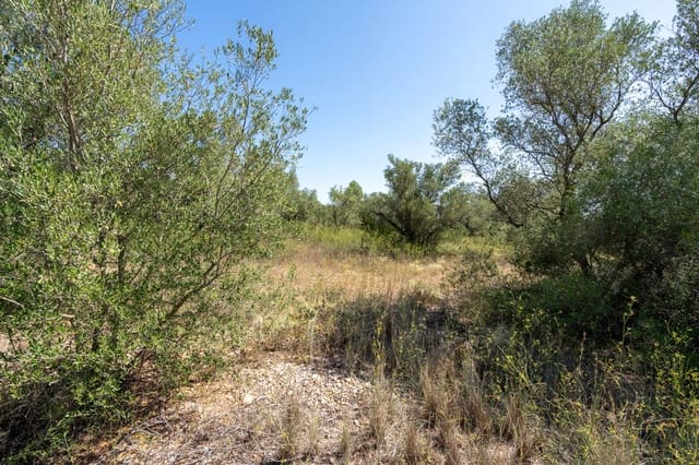 Finca/Landgut zu verkaufen in Mas de Barberans - 12.000 € (Ref: 9156174)