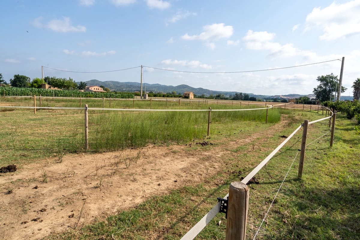 3 quarto Quinta/Casa Rural para venda em Tortosa - 220 000 € (Ref: 9167113)