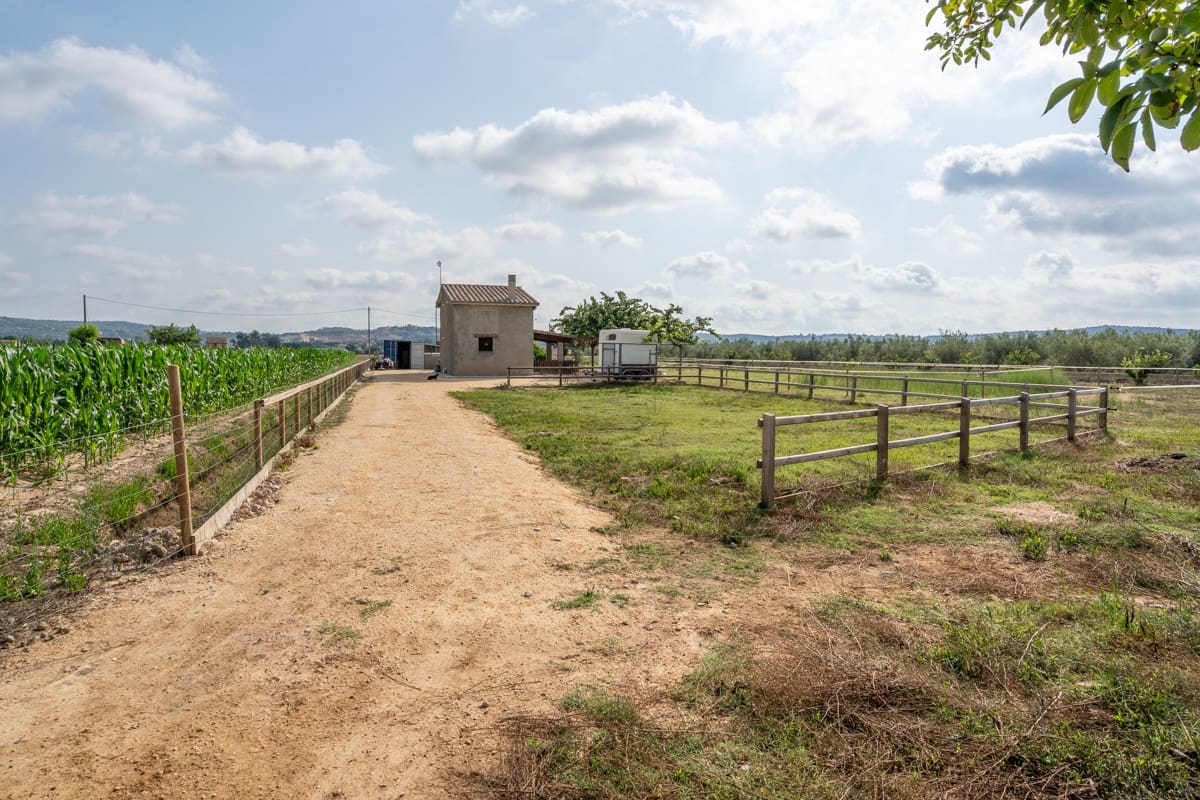 3 quarto Quinta/Casa Rural para venda em Tortosa - 220 000 € (Ref: 9167113)