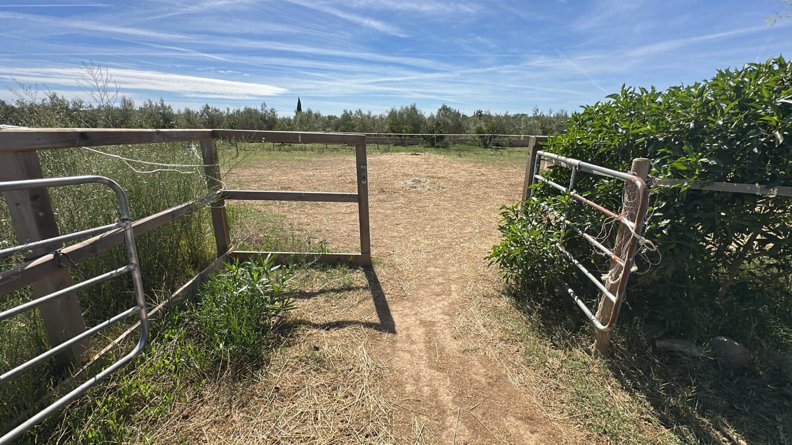 Finca/Casa Rural de 3 habitaciones en Tortosa en venta - 220.000 € (Ref: 9167113)