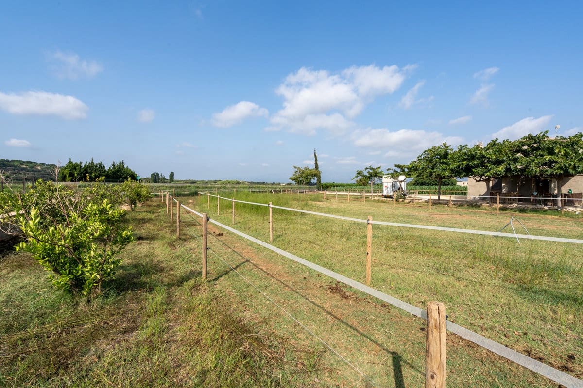 3 bedroom Finca/Country House for sale in Amposta - € 160,000 (Ref: 9167113)