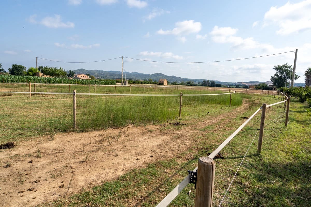 3 bedroom Finca/Country House for sale in Amposta - € 160,000 (Ref: 9167113)
