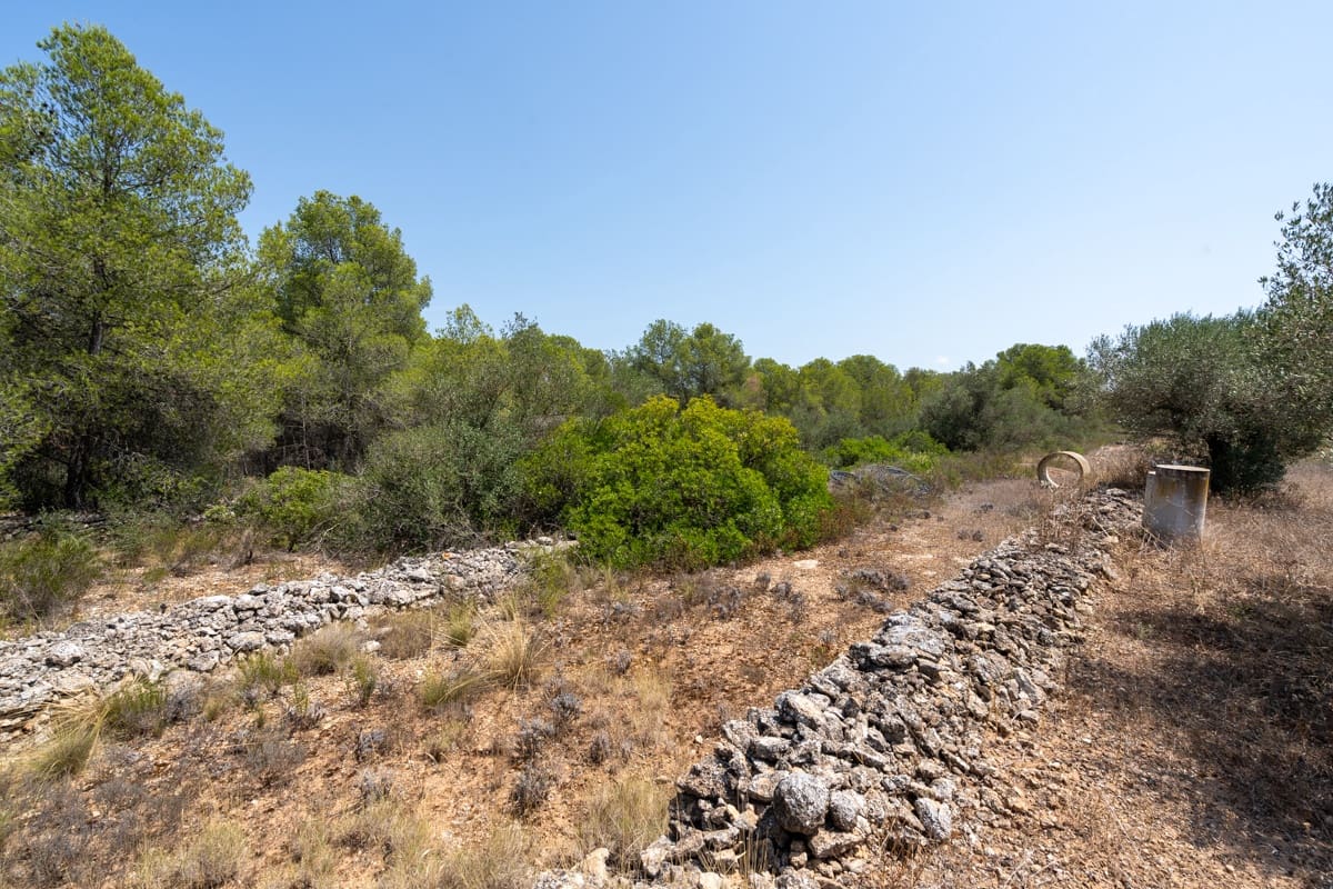 Finca/Herregård til salgs i Ginestar - € 74 000 (Ref: 9167179)