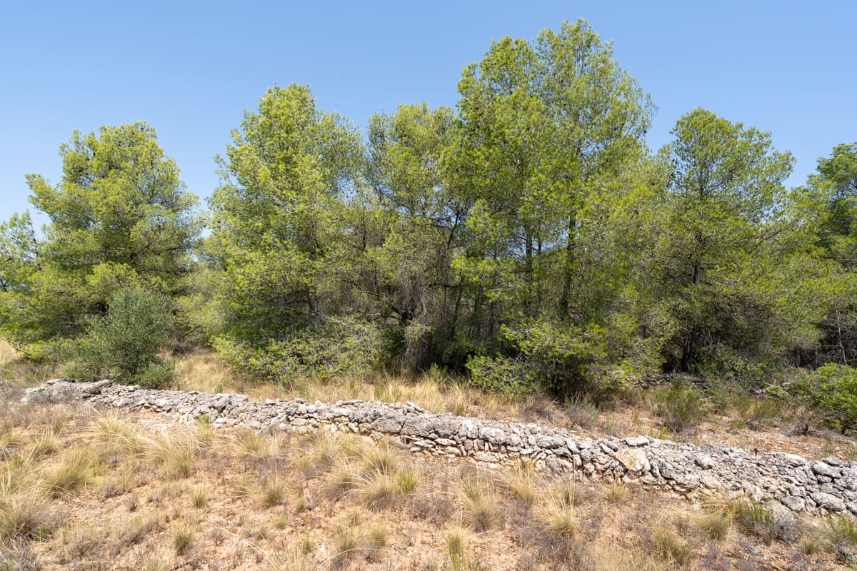 Finca/Herregård til salgs i Ginestar - € 74 000 (Ref: 9167179)