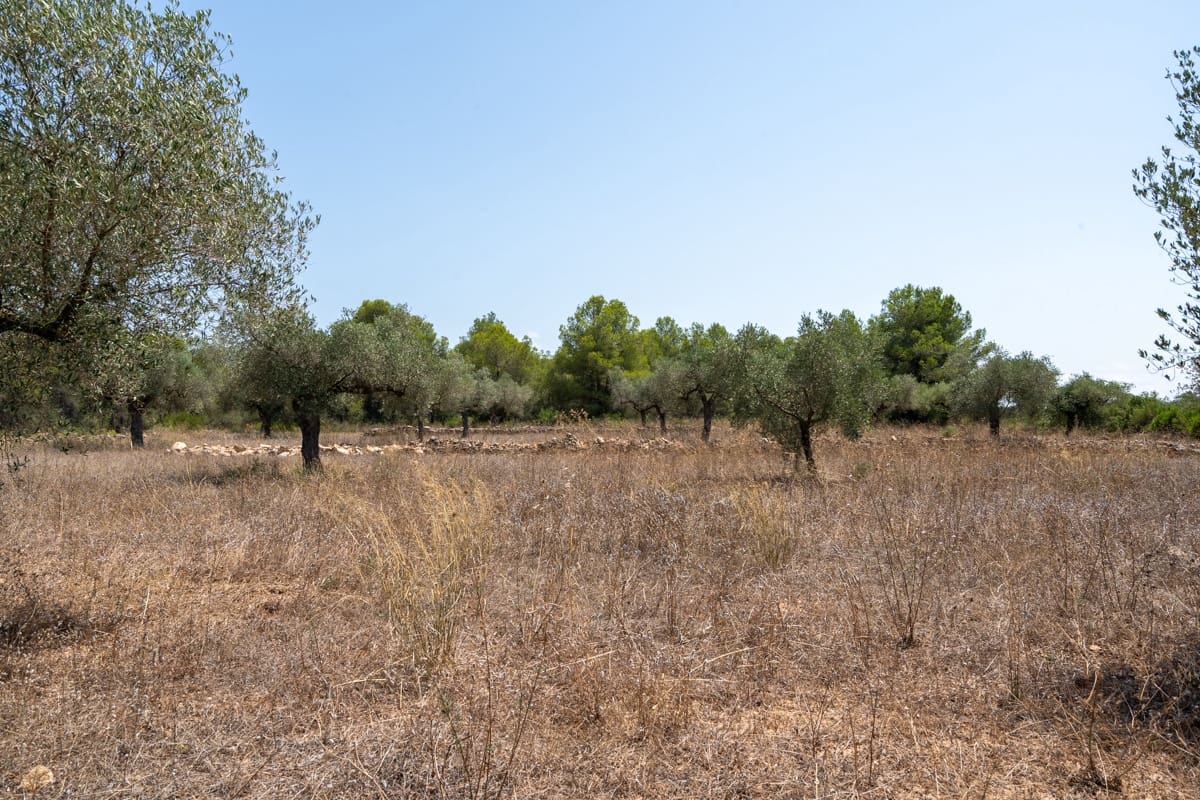 Finca/Herregård til salgs i Ginestar - € 74 000 (Ref: 9167179)