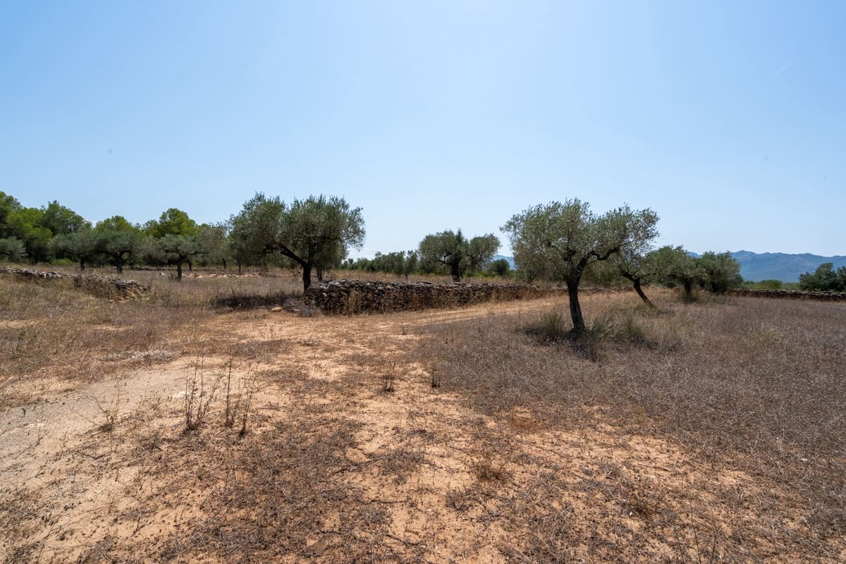 Finca/Herregård til salgs i Ginestar - € 74 000 (Ref: 9167179)