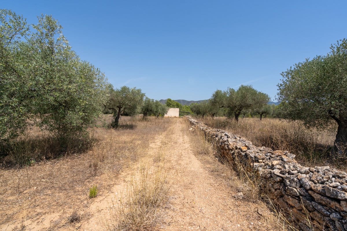 Finca/Casa Rural en Ginestar en venta - 74.000 € (Ref: 9167179)