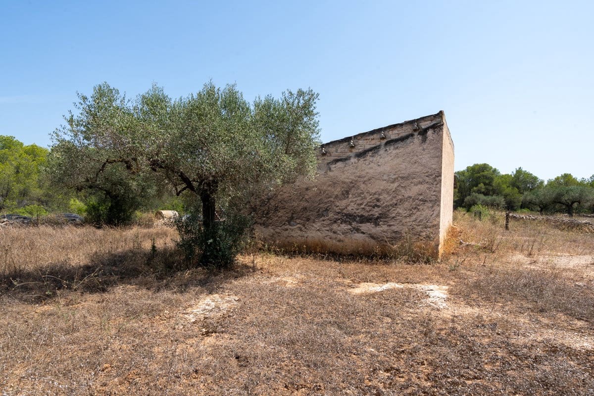 Finca/Casa Rural en Ginestar en venta - 74.000 € (Ref: 9167179)