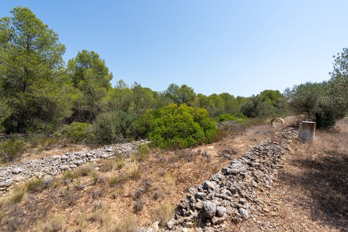 Finca/Casa Rural en Ginestar en venta - 74.000 € (Ref: 9167179)