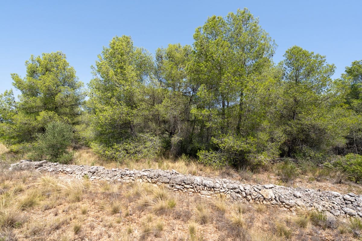 Finca/Casa Rural en Ginestar en venta - 74.000 € (Ref: 9167179)