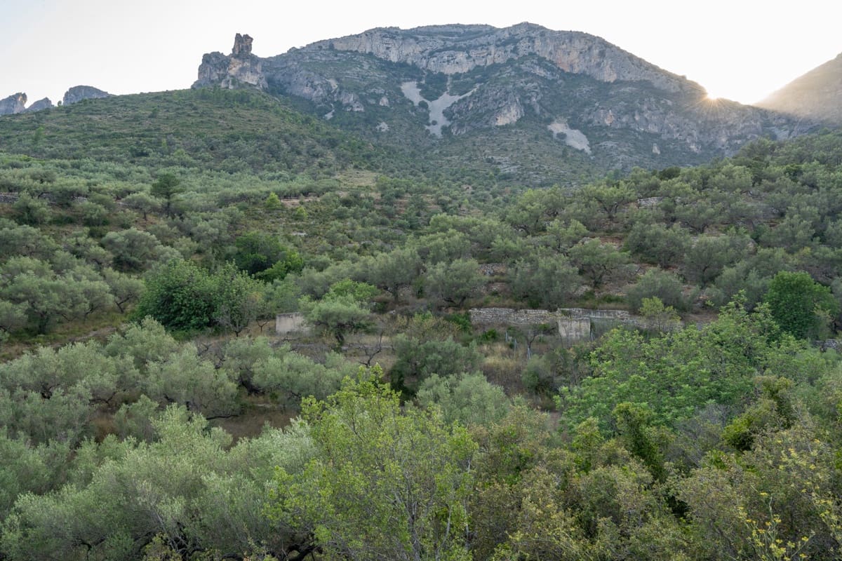 Finca/Landehus til salg i Mas de Barberans - € 40.000 (Ref: 9171766)