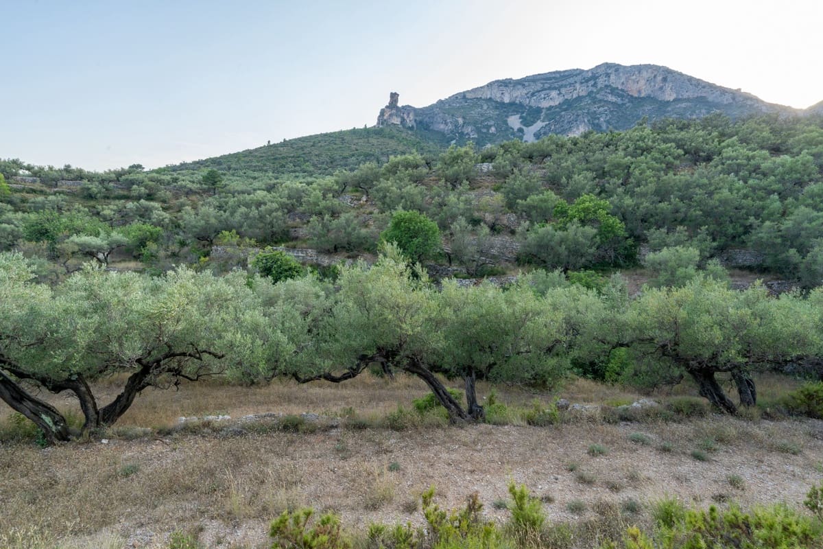 Finca/Landehus til salg i Mas de Barberans - € 40.000 (Ref: 9171766)