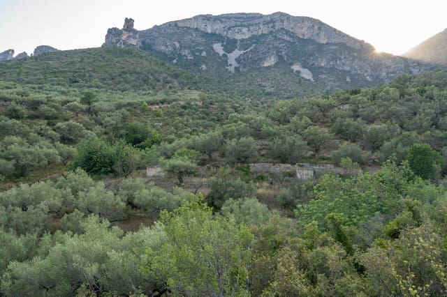 Finca/Herregård til salgs i Mas de Barberans - € 40 000 (Ref: 9171766)