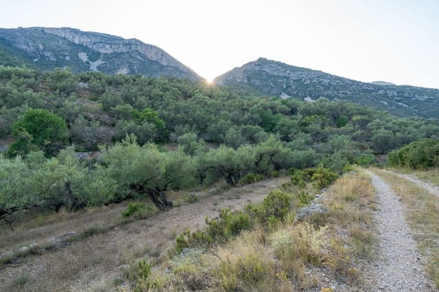 Finca/Herregård til salgs i Mas de Barberans - € 40 000 (Ref: 9171766)