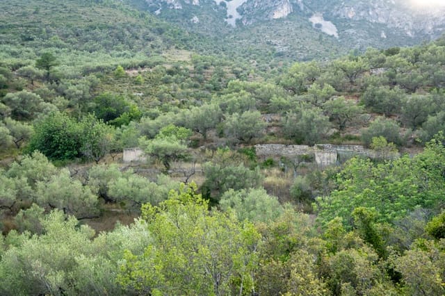 Finca/Herregård til salgs i Mas de Barberans - € 40 000 (Ref: 9171766)