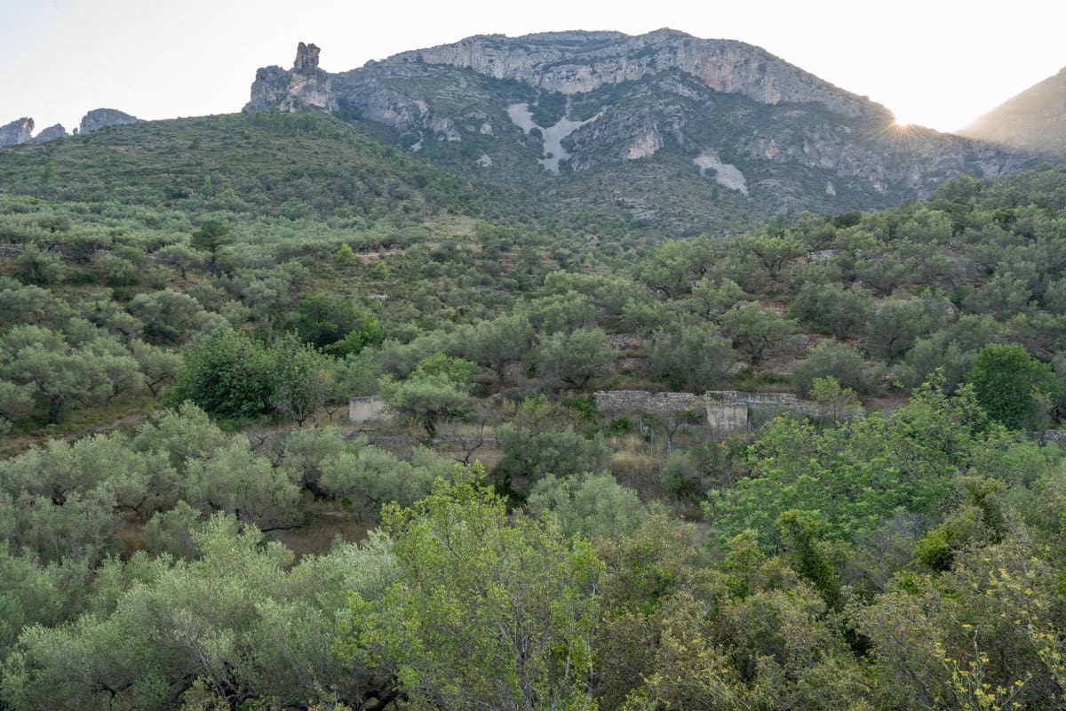 Finca/Country House for sale in Mas de Barberans - € 40,000 (Ref: 9171766)