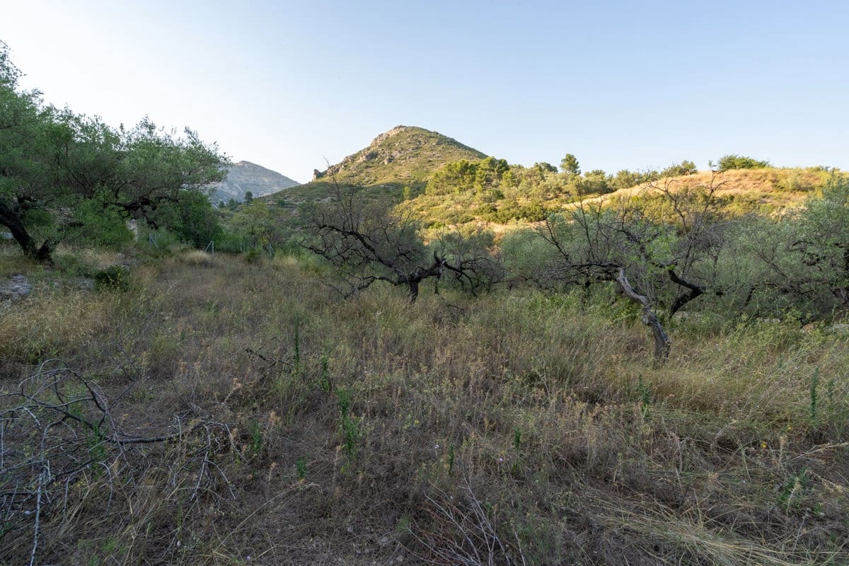 Finca/Country House for sale in Mas de Barberans - € 40,000 (Ref: 9171766)