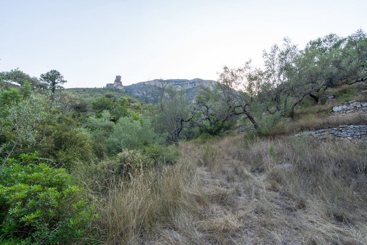 Finca/Country House for sale in Mas de Barberans - € 40,000 (Ref: 9171766)