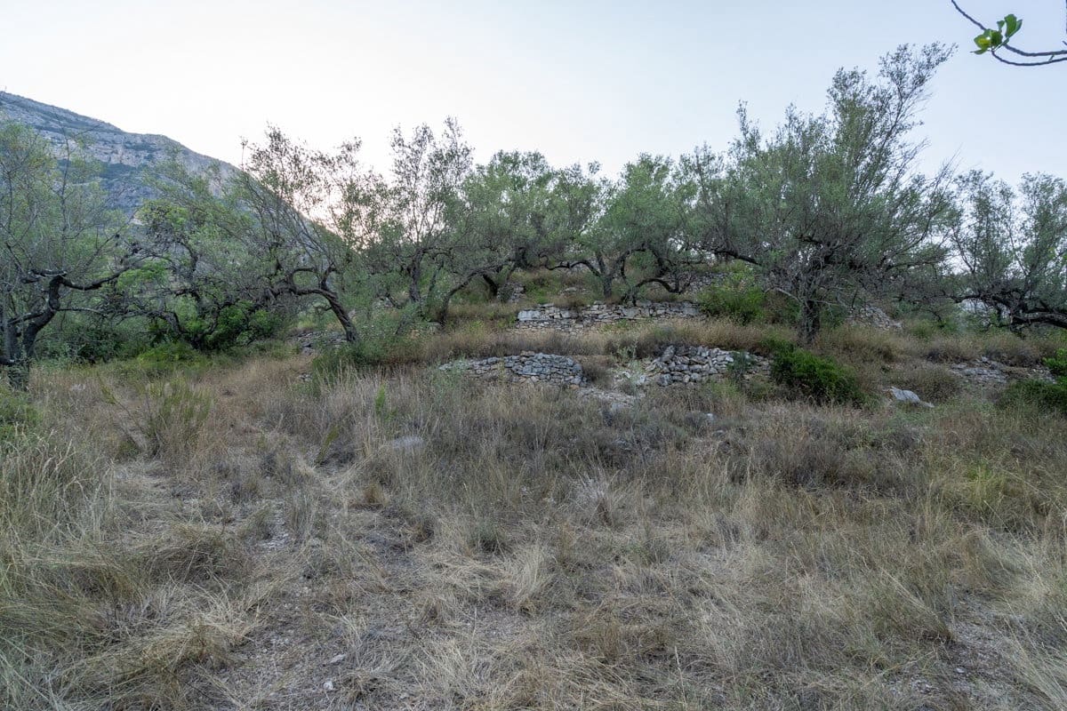 Finca/Country House for sale in Mas de Barberans - € 40,000 (Ref: 9171766)