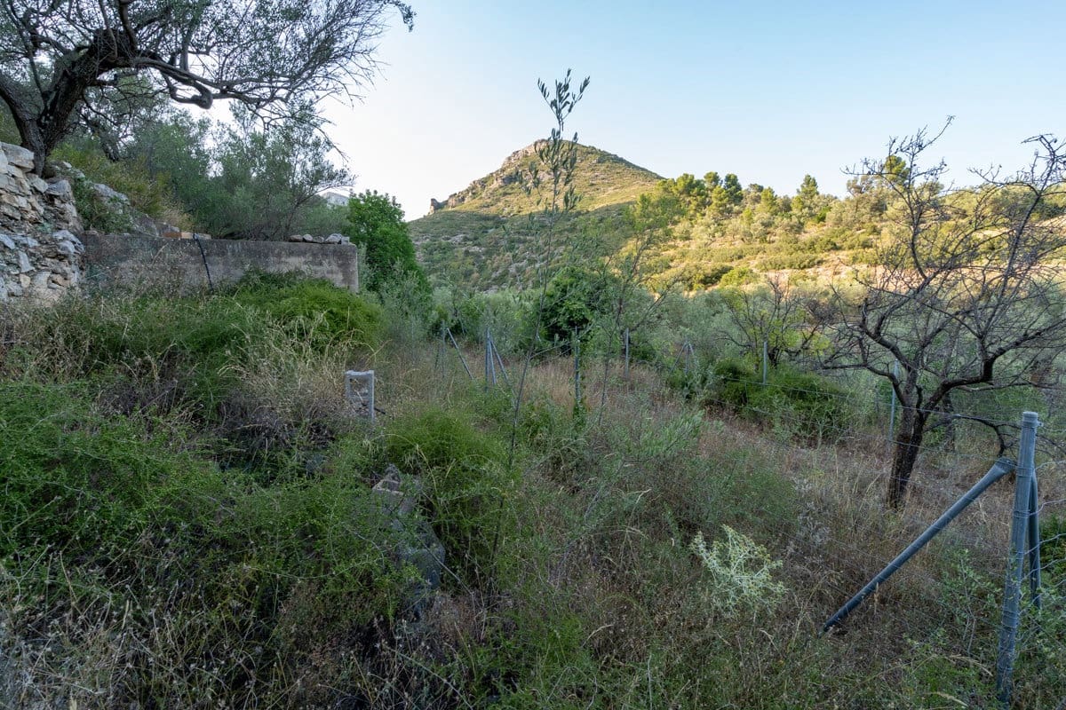 Finca/Country House for sale in Mas de Barberans - € 40,000 (Ref: 9171766)