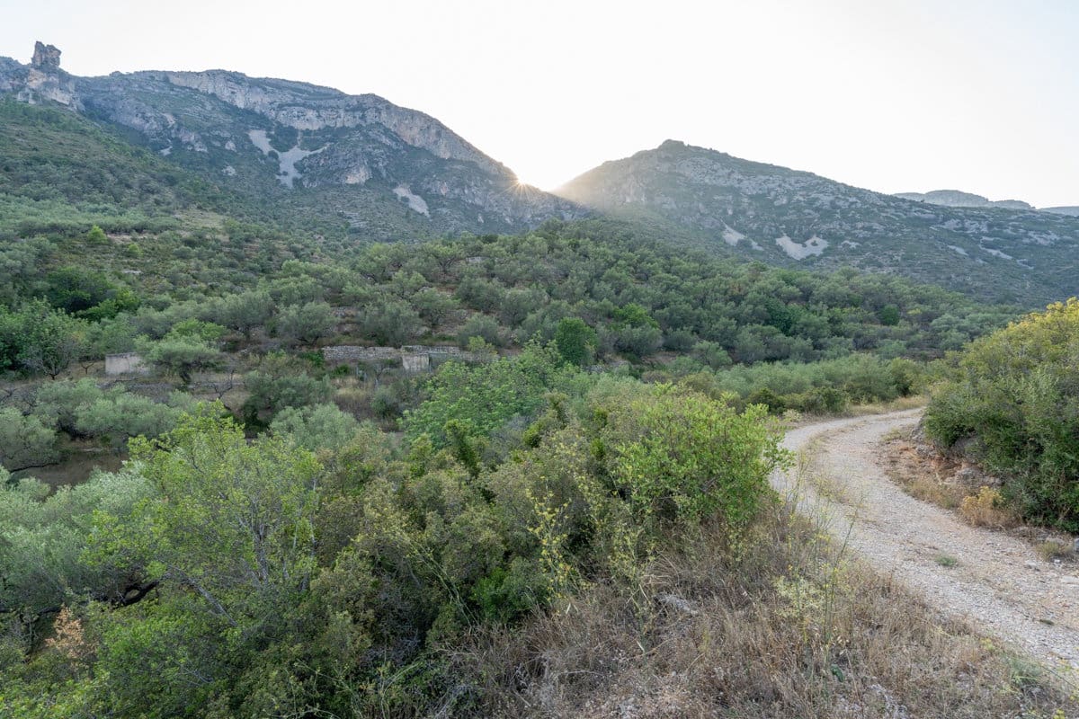 Finca/Country House for sale in Mas de Barberans - € 40,000 (Ref: 9171766)
