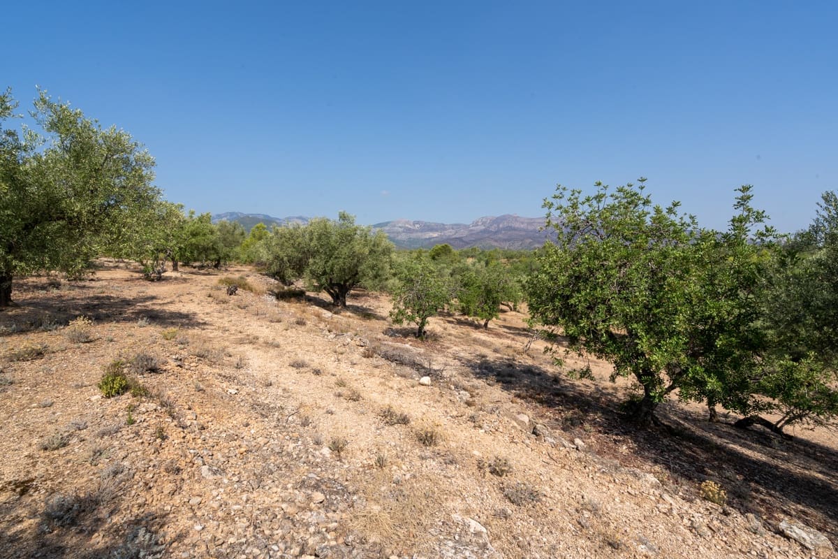 Finca/Casa di Campagna in vendita in Aldover - 32.000 € (Rif: 9172506)