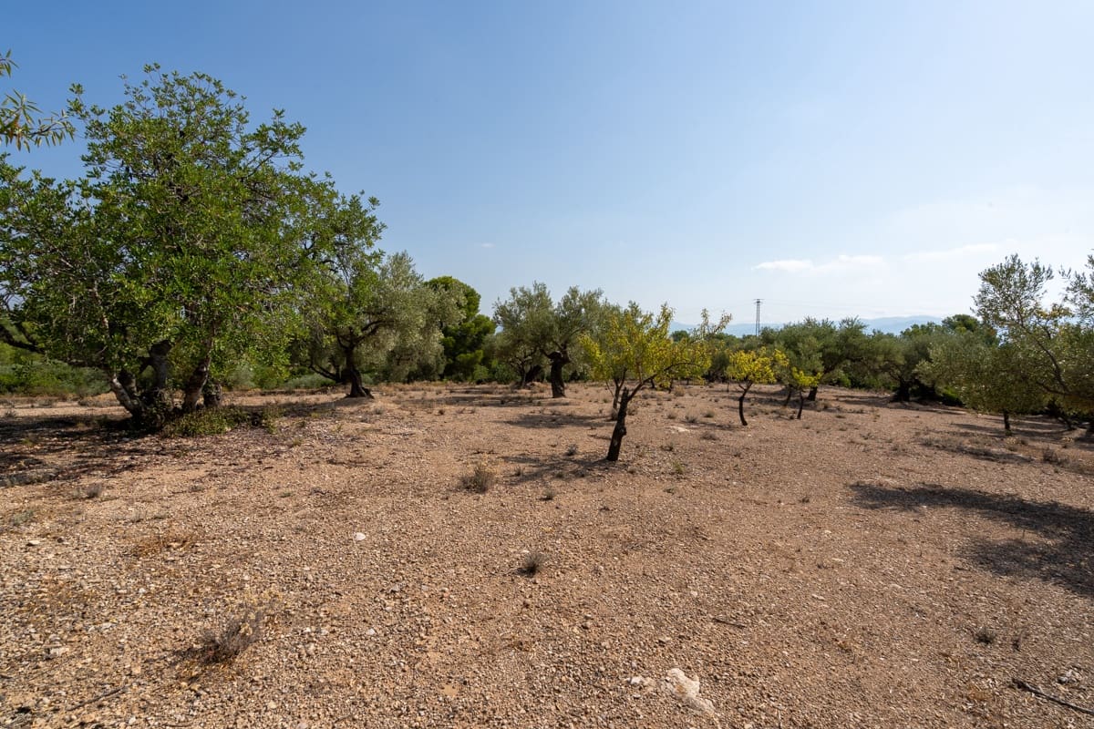 Finca/Casa di Campagna in vendita in Aldover - 32.000 € (Rif: 9172506)