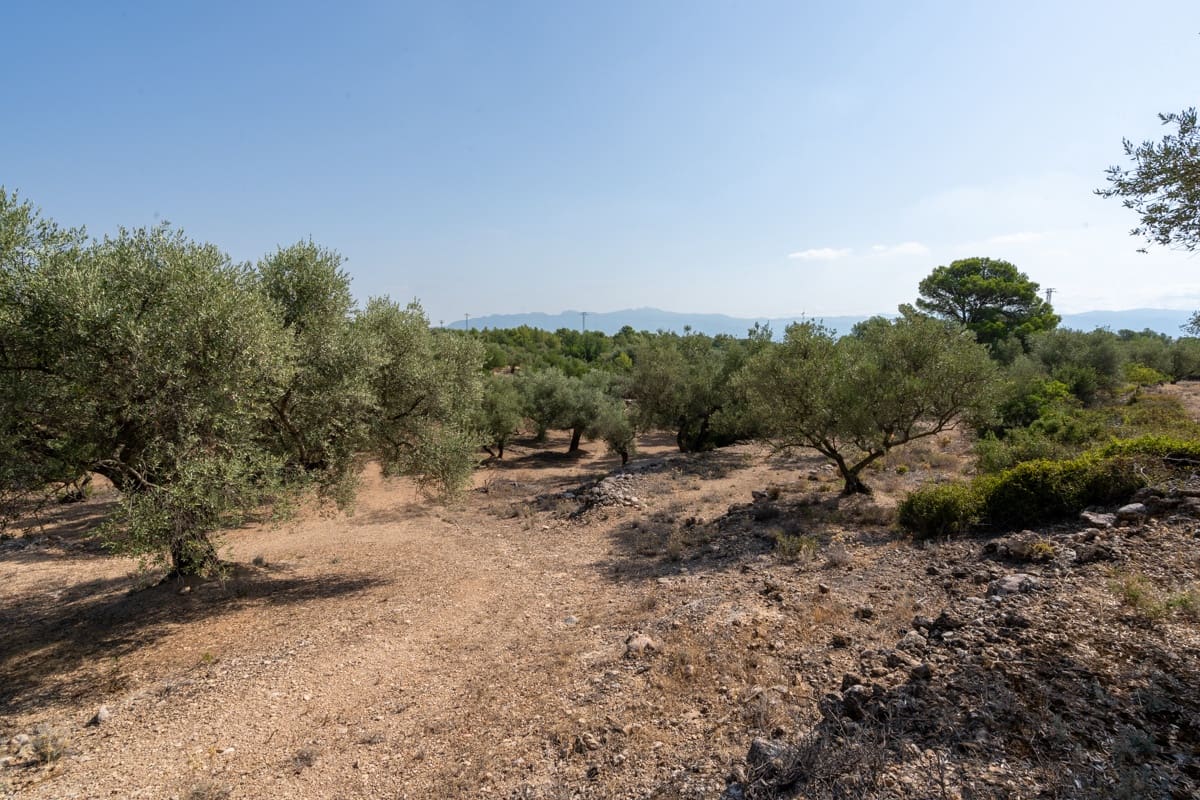 Finca/Casa di Campagna in vendita in Aldover - 32.000 € (Rif: 9172506)