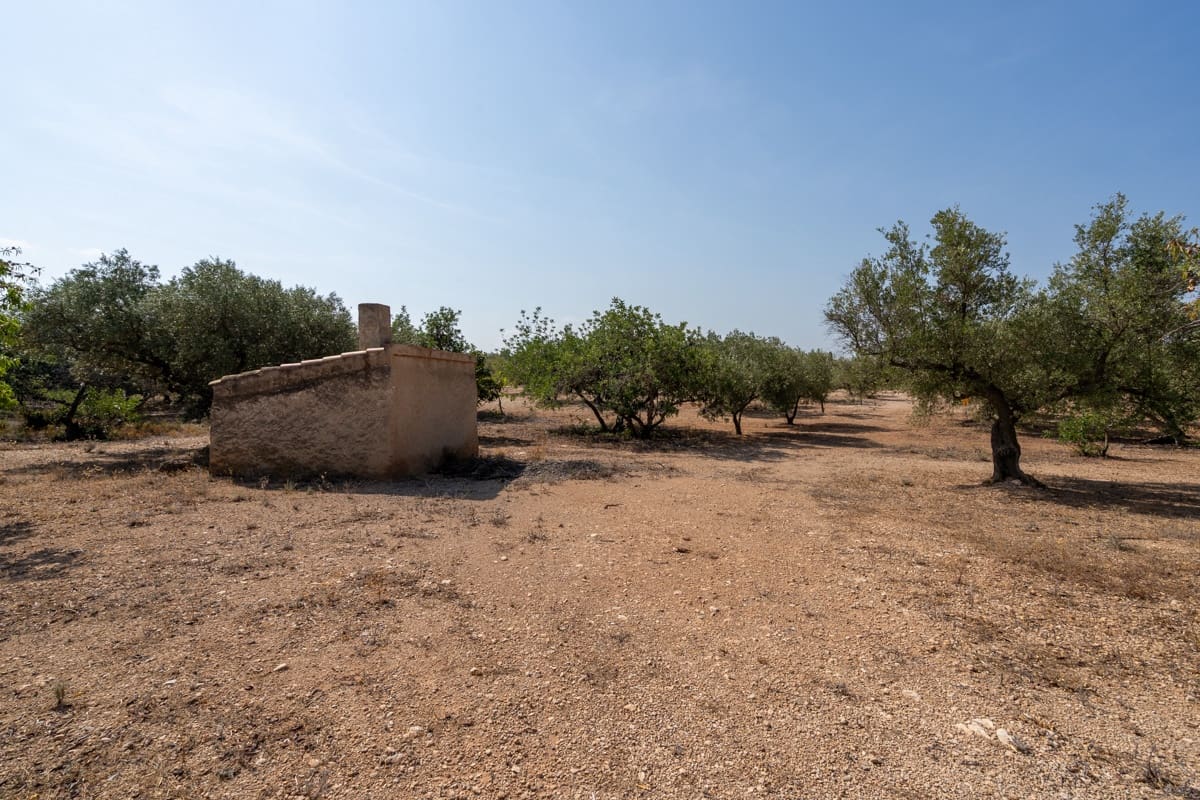 Finca/Casa di Campagna in vendita in Aldover - 32.000 € (Rif: 9172506)