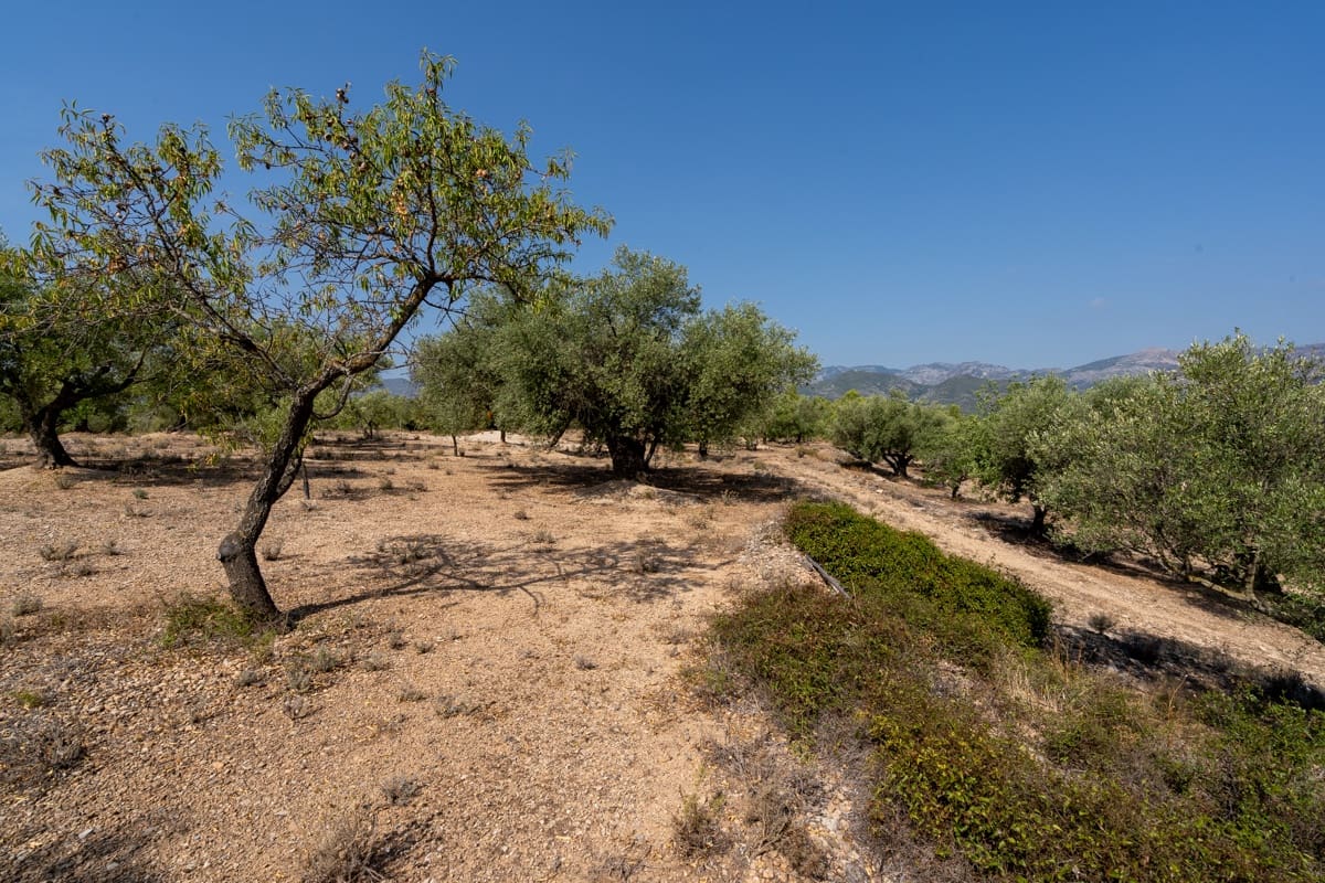 Finca/Casa di Campagna in vendita in Aldover - 32.000 € (Rif: 9172506)