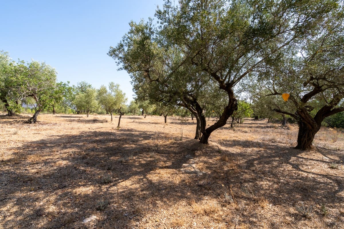 Finca/Casa di Campagna in vendita in Aldover - 32.000 € (Rif: 9172506)