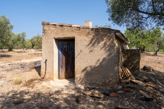 Finca/Casa di Campagna in vendita in Aldover - 32.000 € (Rif: 9172506)