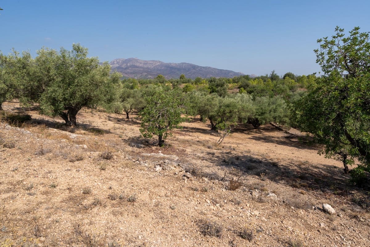 Finca/Country House for sale in Aldover - € 32,000 (Ref: 9172506)