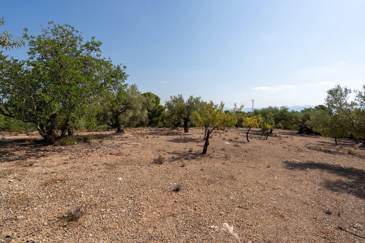 Finca/Country House for sale in Aldover - € 32,000 (Ref: 9172506)