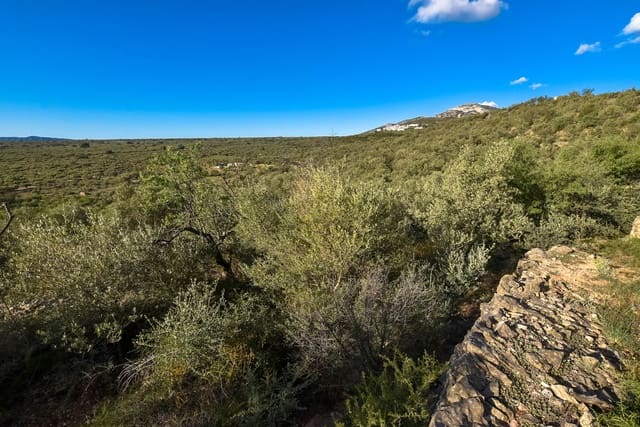 Finca/Herregård til salgs i Mas de Barberans - € 16 000 (Ref: 9175921)