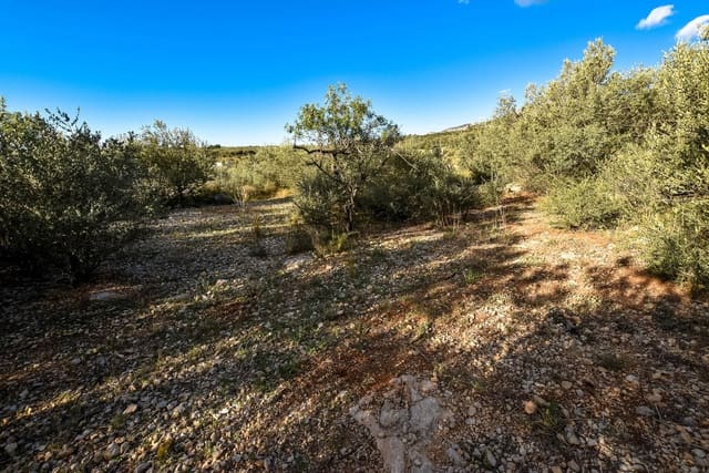 Finca/Landgut zu verkaufen in Mas de Barberans - 16.000 € (Ref: 9175921)