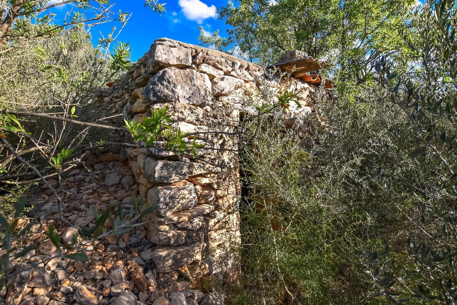 Finca/Country House for sale in Mas de Barberans - € 16,000 (Ref: 9175921)