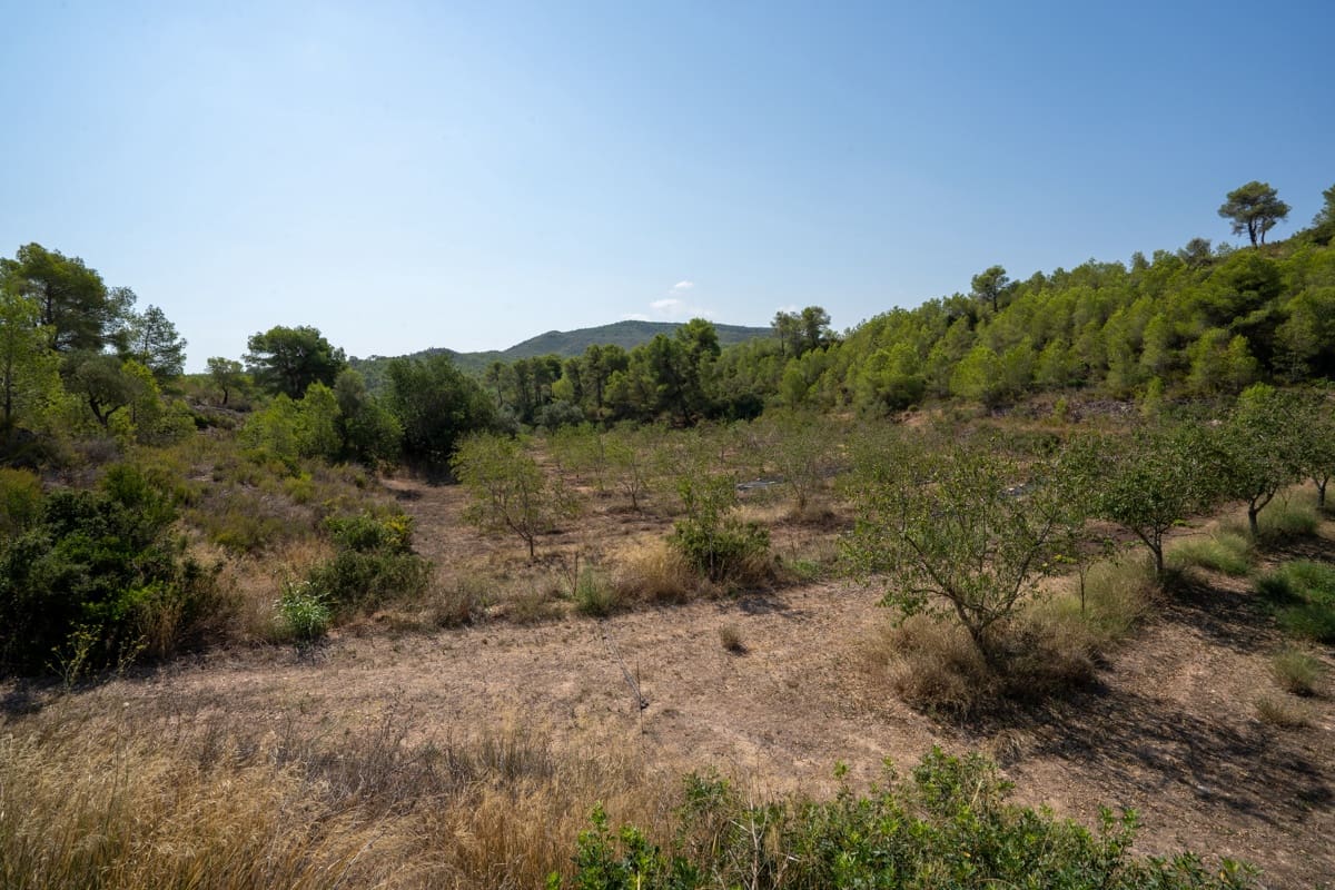 4 soverom Finca/Herregård til salgs i Miravet - € 350 000 (Ref: 9178180)