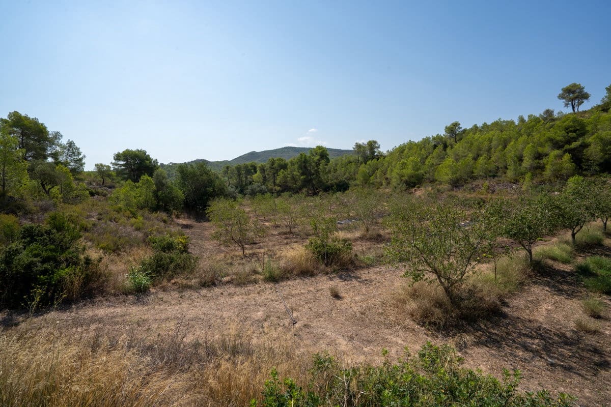 4 soveværelse Finca/Landehus til salg i Miravet - € 250.000 (Ref: 9178180)