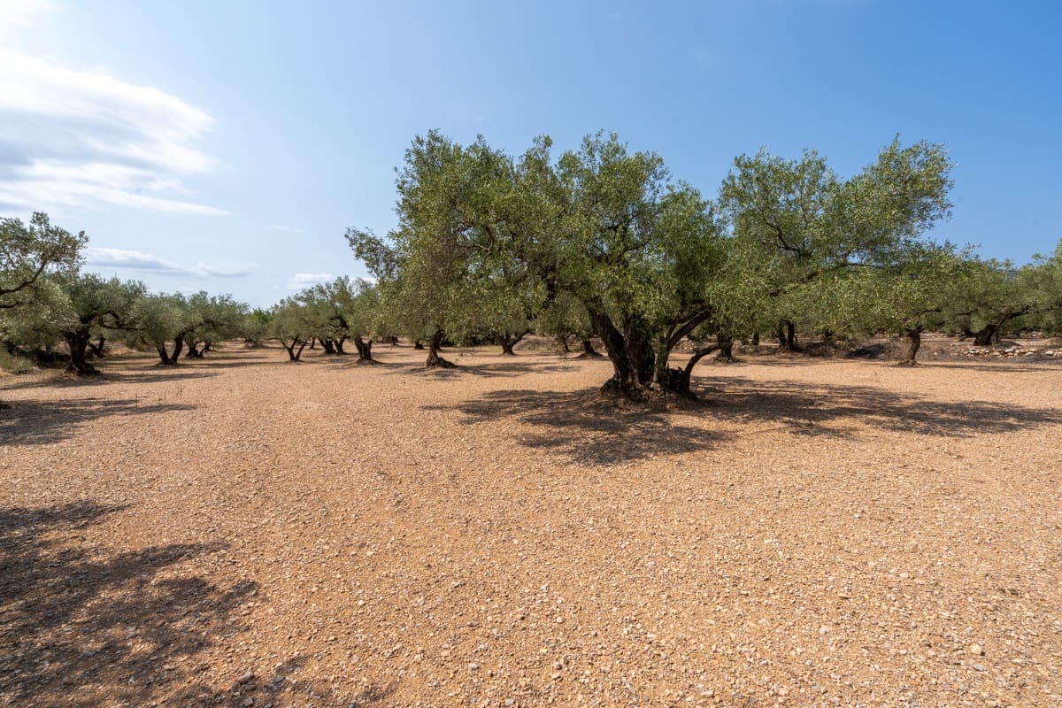 Finca/Country House for sale in Mas de Barberans - € 43,000 (Ref: 9191068)