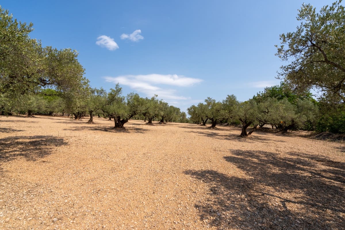 Finca/Country House for sale in Mas de Barberans - € 43,000 (Ref: 9191068)